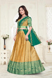 Premium Designer Banarasi Lehenga Choli with Embroidered Dupatta