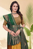 Banarasi Silk Lehenga Choli with Woven Dupatta