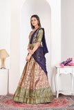 Royal Banarasi Lehenga Choli Set